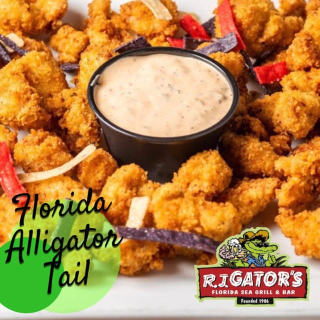 Florida Gator Tail.